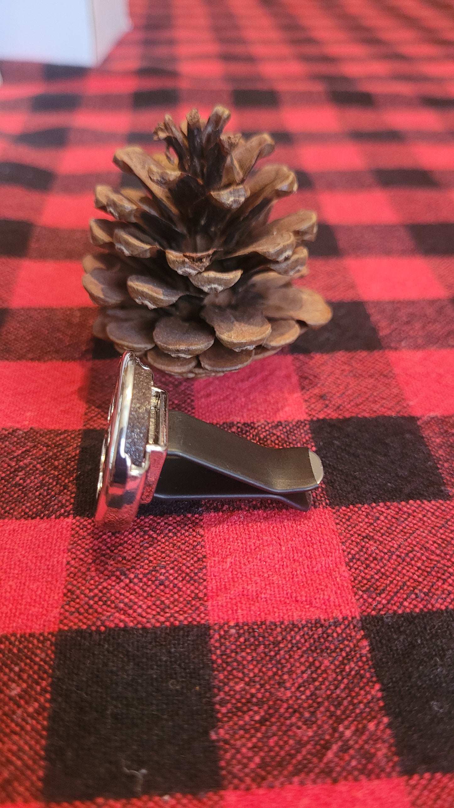 Diffuseur pour la voiture "Patte"