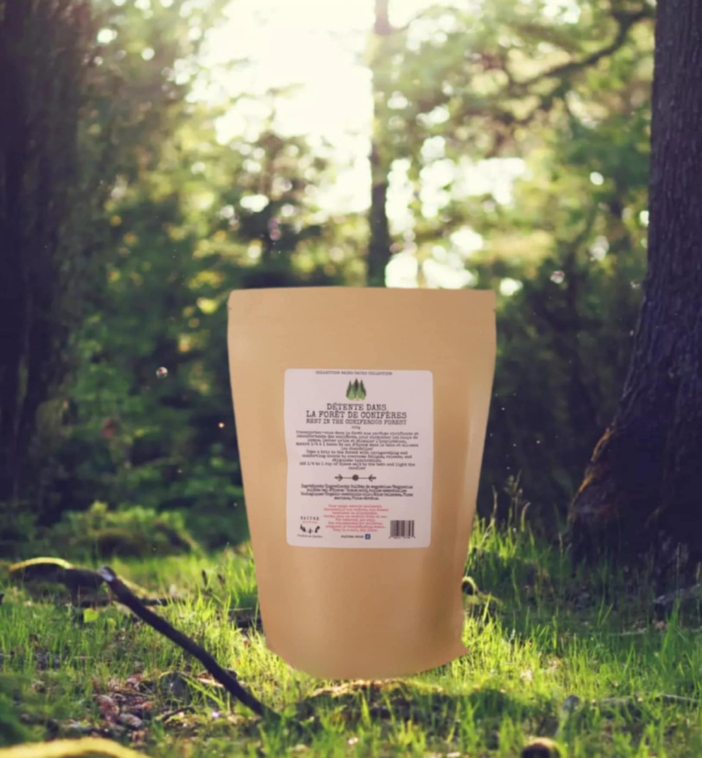 Bain détente dans la forêt de conifères/ Rest in the coniferous forest